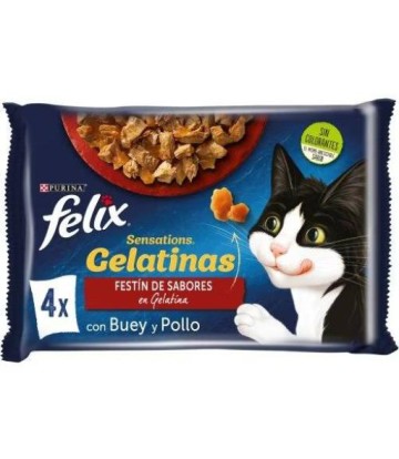 FELIX FANTASTIC FESTIN DE...