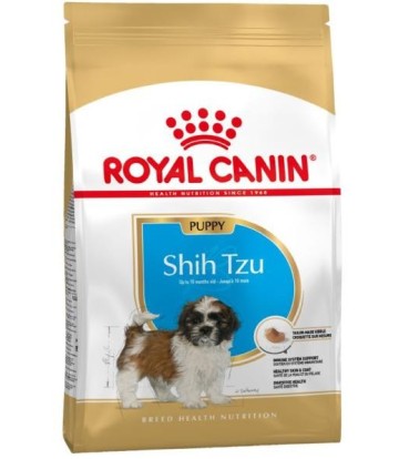 BHN SHIH-TZU PUPPY 1.5KG