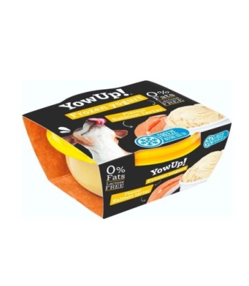 YOW UP YOGURT HELADO TARTA SALMON 110GR