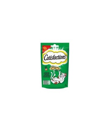 CATISFACTION CON CATNIP 60GR