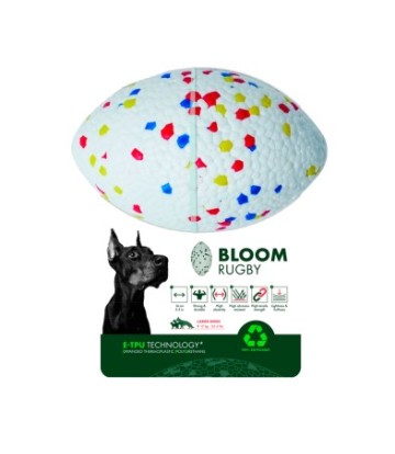 BLOOM RUGBY MIXED COLOR