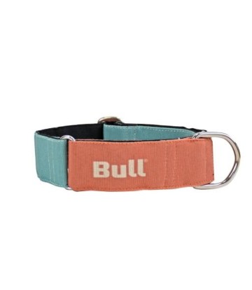 BULL COLLAR GALGO NARANJA-TURQUESA T-S 25-35CM