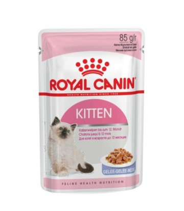 FHN KITTEN EN GELATINA 85GR