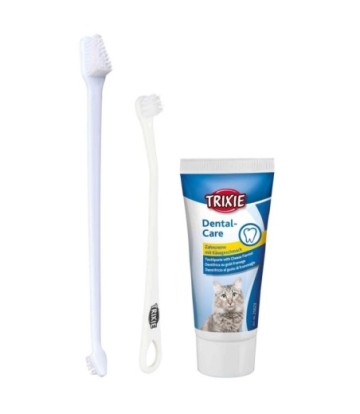 SET HIGIENE DENTAL GATOS