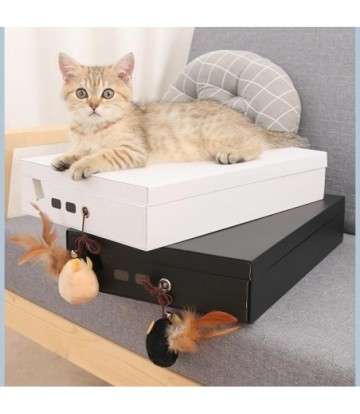 MY SCRATCHY TENNEESSEE RASCADOR 2 EN 1 BLANCO