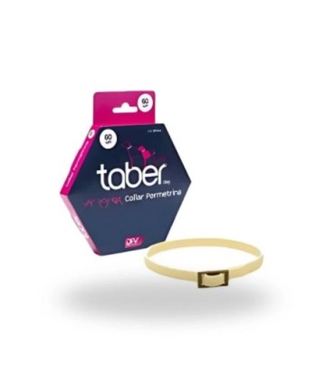 TABER DOG 60CM