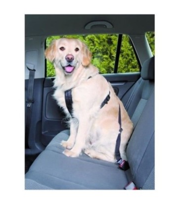 ARNES CINTURON DE SEGURIDAD PARA PERROS L 70-90CM