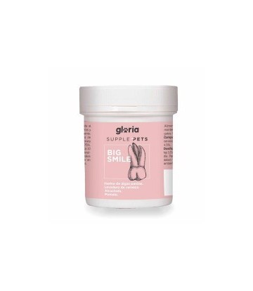 GLORIAPETS SUPLEMENTO DENTAL BIG SMILE 100GR