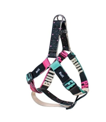 BULL PETRAL NYLON COLECCION PAWS LIFE 30-40CM/1.5C