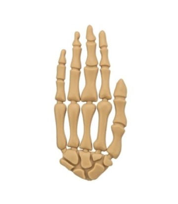 TRIXIE SNACK HALLOWEEN MANO CON POLLO 70GR 15CM