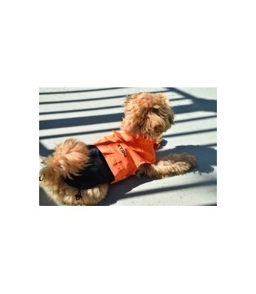 IMPERMEABLE XTRM NARANJA 40CM