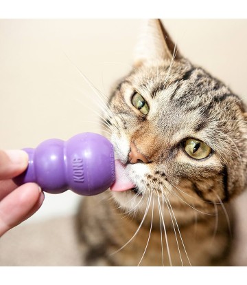 KONG GATOS KITTY KONG