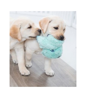 TRIXIE JUNIOR PELUCHE...