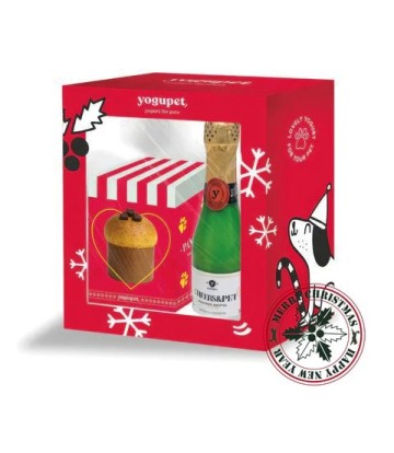 YOGUPET CAJA NAVIDAD 3 CHAMPET-PANEPET RED BOX