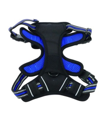 MPETS ORIGAMI ARNES AZUL AGUA L