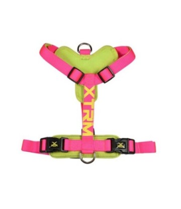X-TRM ARNES NEON FLASH FUCSIA 60-100CM/25MM
