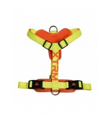 X-TRM ARNES NEON FLASH LIMON 35-60CM/15MM