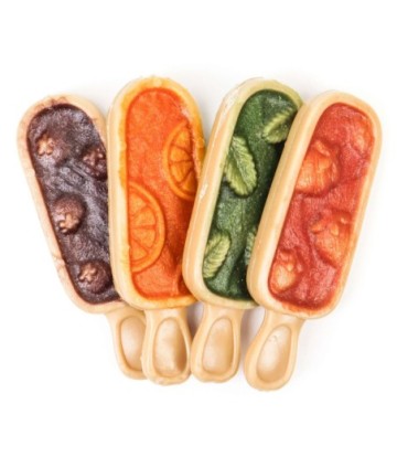 NUTRA DOG PALETA DE HELADO CON FRUTA SURTIDA