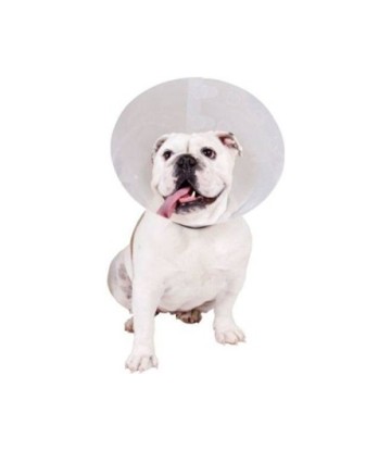 KVP COLLAR ISABELINO 12.5