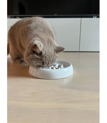 TRIXDER COMEDERO SLOW FEED...