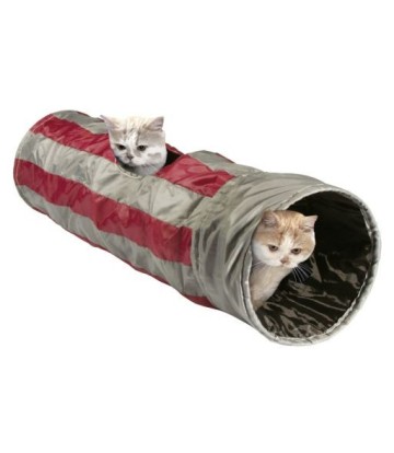 KONG GATOS TUNEL ESPACIAL