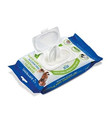 ARTERO GUANTES HUMEDOS PLIS PLAS  20UD