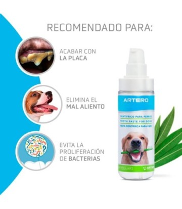 ARTERO DENTIX GEL DENTIFRICO 106ML
