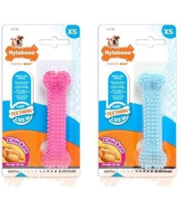 NYLABONE DENTAL CHEW XS AZUL SABOR POLLO