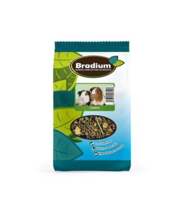 BRADIUM MIXTURA COBAYAS 700GR