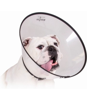 KVP COLLAR ISABELINO...