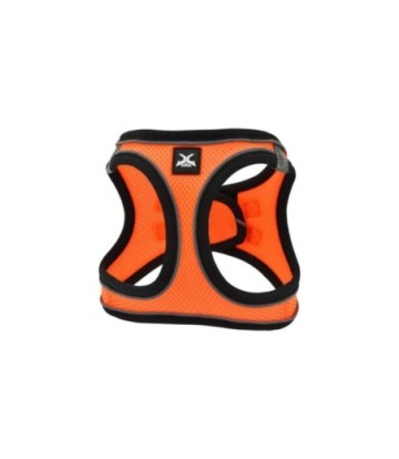 X-TRM DOG ARNES TRANSPIRABLE NEO NARANJA S