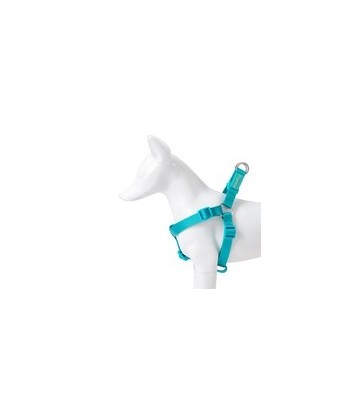 X-TRM ARNES NEON FLASH COBALTO 35-60CM/15MM
