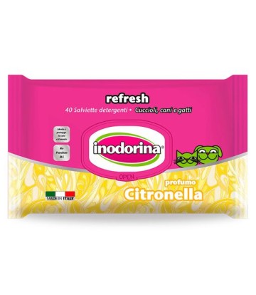 INODORINA TOALLITAS...