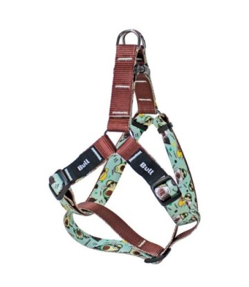 BULL PETRAL NYLON COLECCION LIFE STYLE 30-40CM/1.5