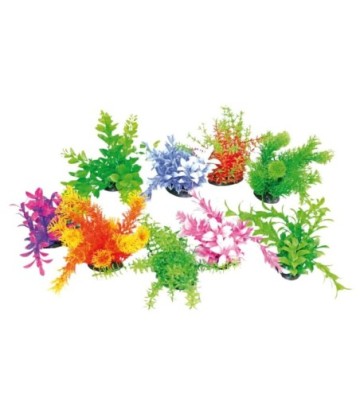 AMTRA PLANTA TROPICAL 14-17CM