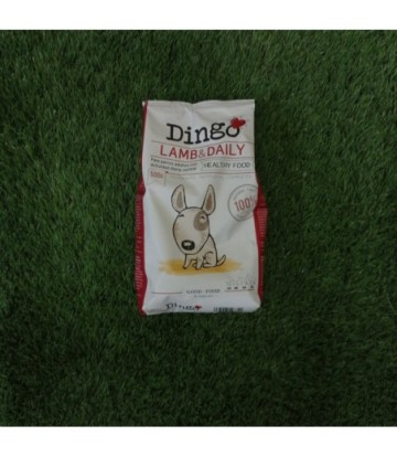 DINGO LAMB& DAILY 500GR