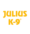 JULIUS